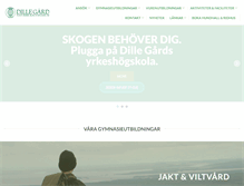 Tablet Screenshot of dillegard.se